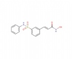 Belinostat (PXD 101)