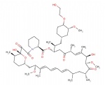 Everolimus (RAD001)