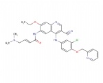 Neratinib (HKI 272)