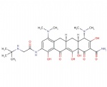 Tigecycline