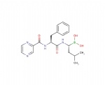 Bortezomib (PS 341, MG 341)
