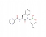 Bortezomib (PS 341, MG 341)