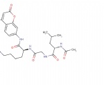 HDAC inhibitor