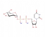Uridine 5′-diphospho-glucose disodium salt, UDP-Glc