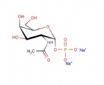 N-Acetyl-alpha-D-galactosamine-1-phosphate disodium salt, GalNAc-1-P