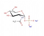 N-Acetyl-alpha-D-glucosamine-1-phosphate disodium salt, GlcNAc-1-P