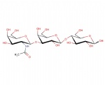 GalNAc-beta1,3-Gal-beta1,4-Glc