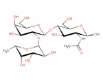 Blood group Type II H-antigen; Fuc-alpha1,2-Gal-beta1,4-GlcNAc