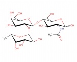 Blood group Type II H-antigen; Fuc-alpha1,2-Gal-beta1,4-GlcNAc