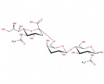 6’-alpha-Sialyl-N-acetyllactosamine; Sia-alpha2,6-Gal-beta1,4-GlcNAc