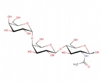 P1 Antigen; Gal-alpha1,4-Gal-beta1,4-GlcNAc