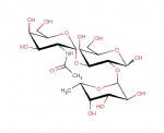 Blood Group A antigen; GalNAc-alpha1,3-(Fuc-alpha-1,2)-Gal