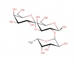 Blood Group B trisaccharide; Gal-alpha1,3-(Fuc-alpha-1,2)-Gal
