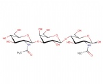 GNLN; GlcNAc-beta1,3-Gal-beta-1,4-GLcNAc