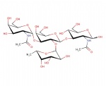 Blood group Type III/IV A-antigen; GalNAc-alpha1,3-(Fuc-alpha1,2)-Gal-beta1,3-GalNAc