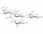 Blood Group Type V A-antigen; GalNAc-alpha1,3-(Fuc-alpha1,2)-Gal-beta1,4-Glc