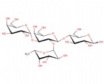 Blood Group Type V B-antigen; Gal-alpha1,3-(Fuc-alpha1,2)-Gal-beta1,3-Glc