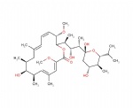 Bafilomycin A1